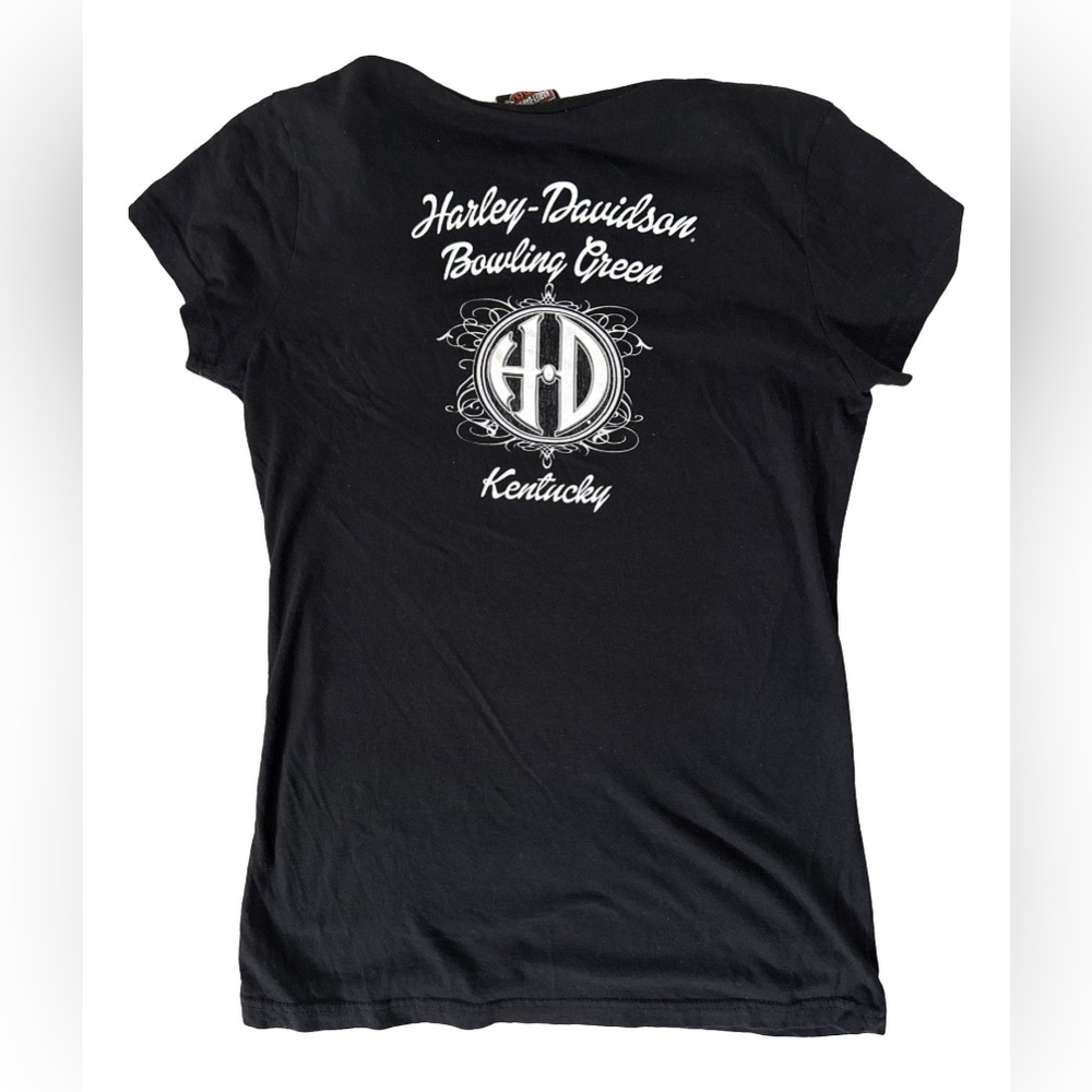 HARLEY DAVIDSON BRIGHT BLUE & BLACK V-NECK T-SHIRT - Medium - Picture 2 of 11